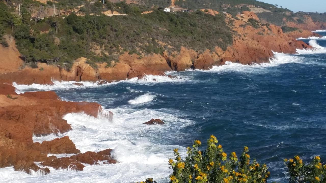 Hotel Et Appart Hotel Les Flots Bleus Saint-Raphael  Luaran gambar